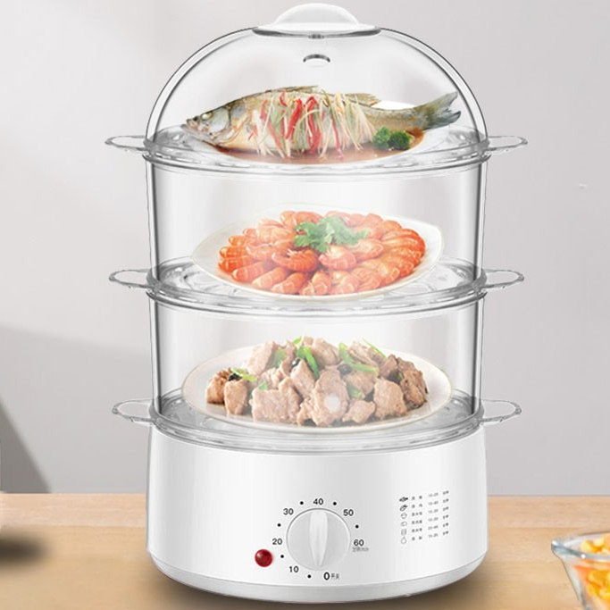 Electric Steamer