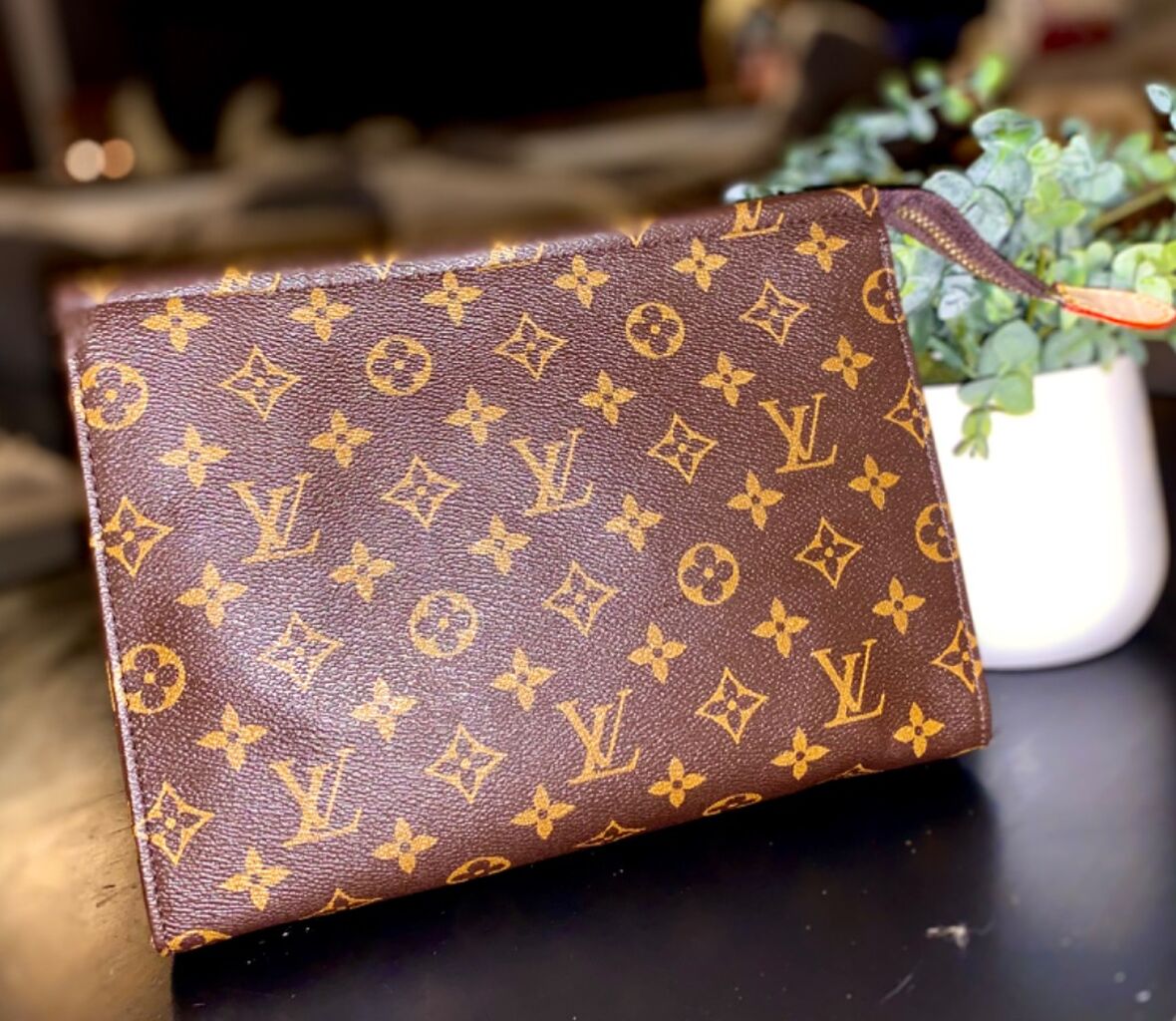 LV Organizer Bag