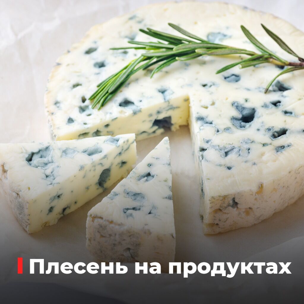 Статья
