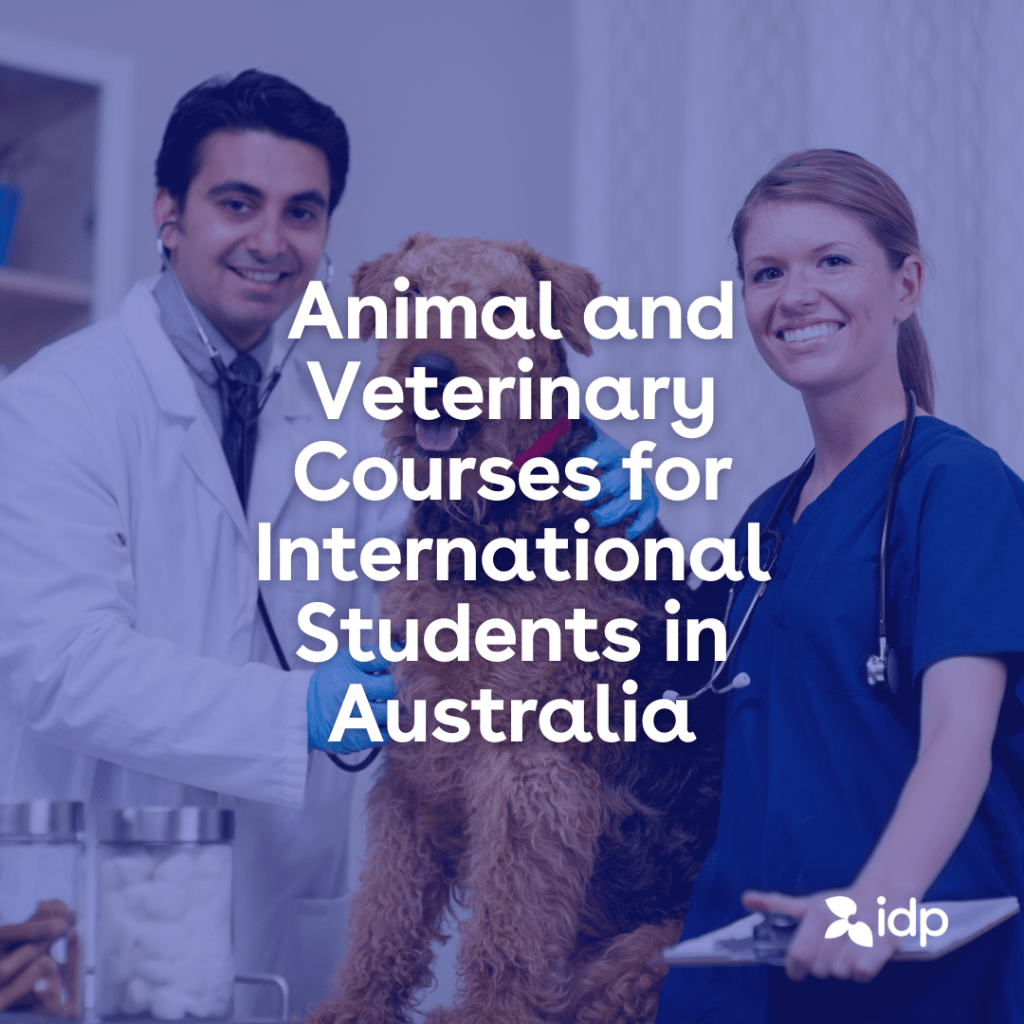 Study Animal & Veterinary Courses