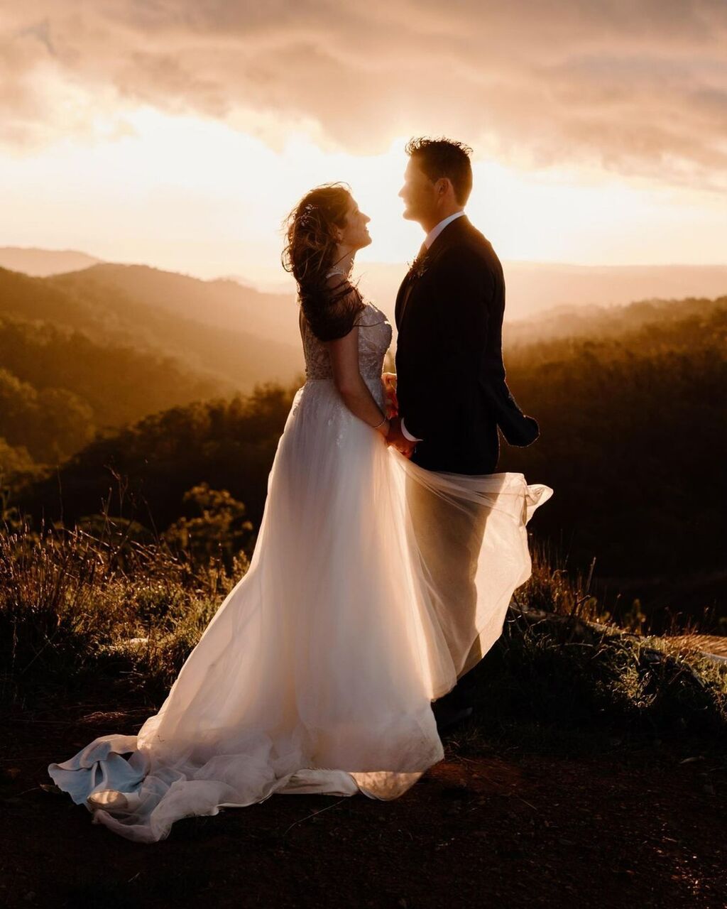 A dreamy capture at Anderson Hill Wines