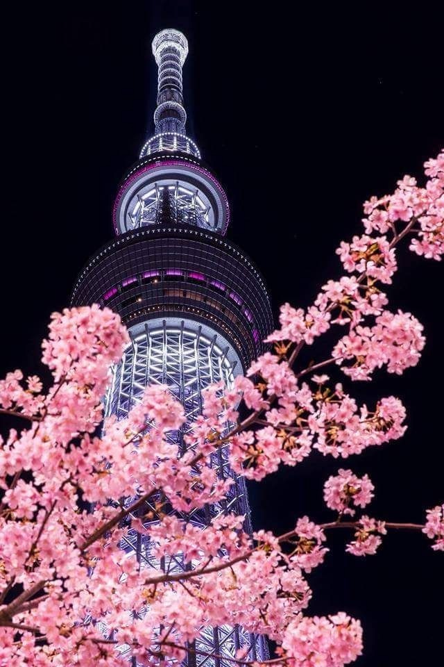 N SEOUL TOWER TICKET