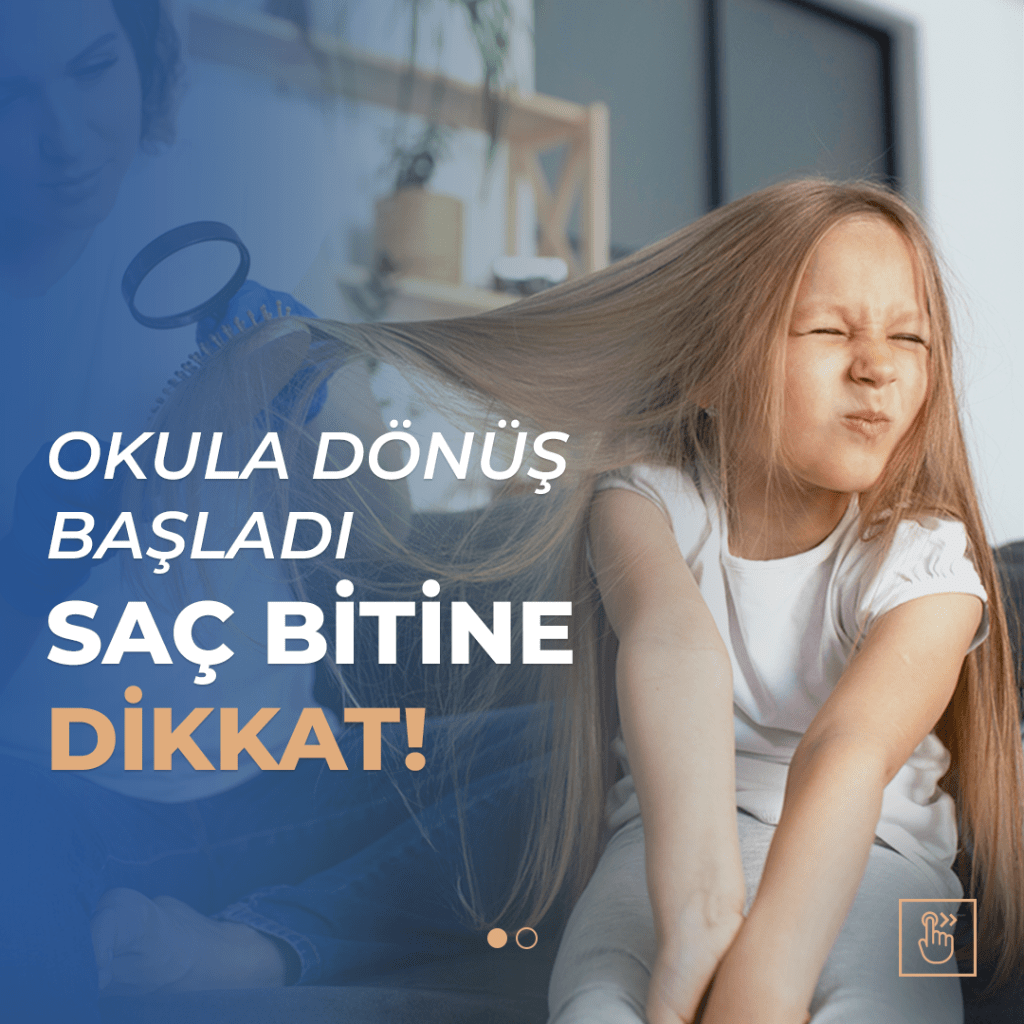 bitnedir