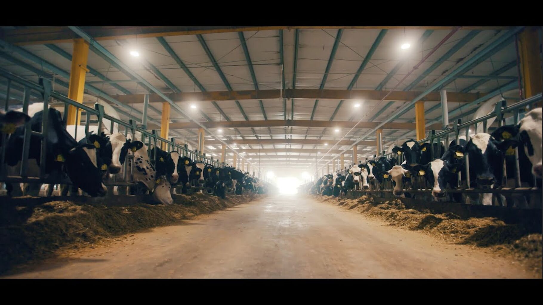 Baladna Food Industries Documentary - Qatar