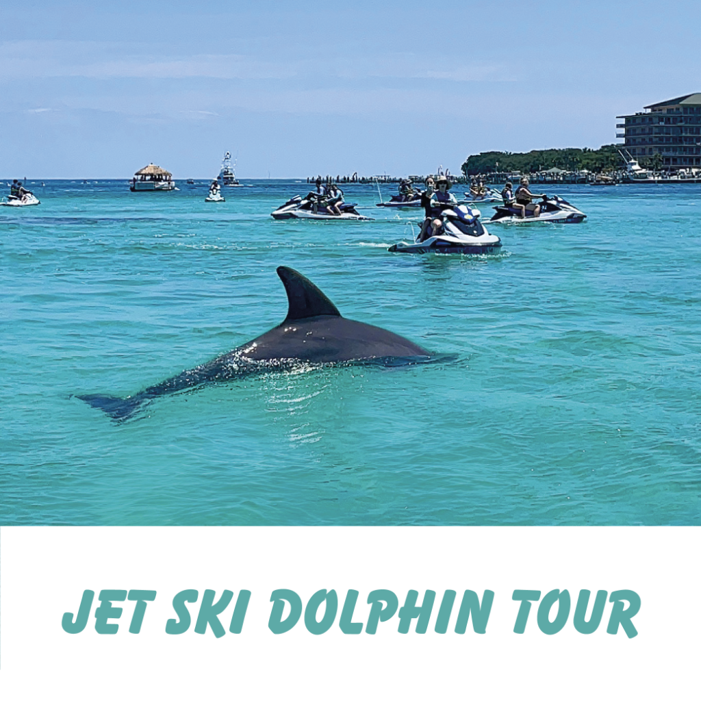 Jet Ski Dolphin Tour