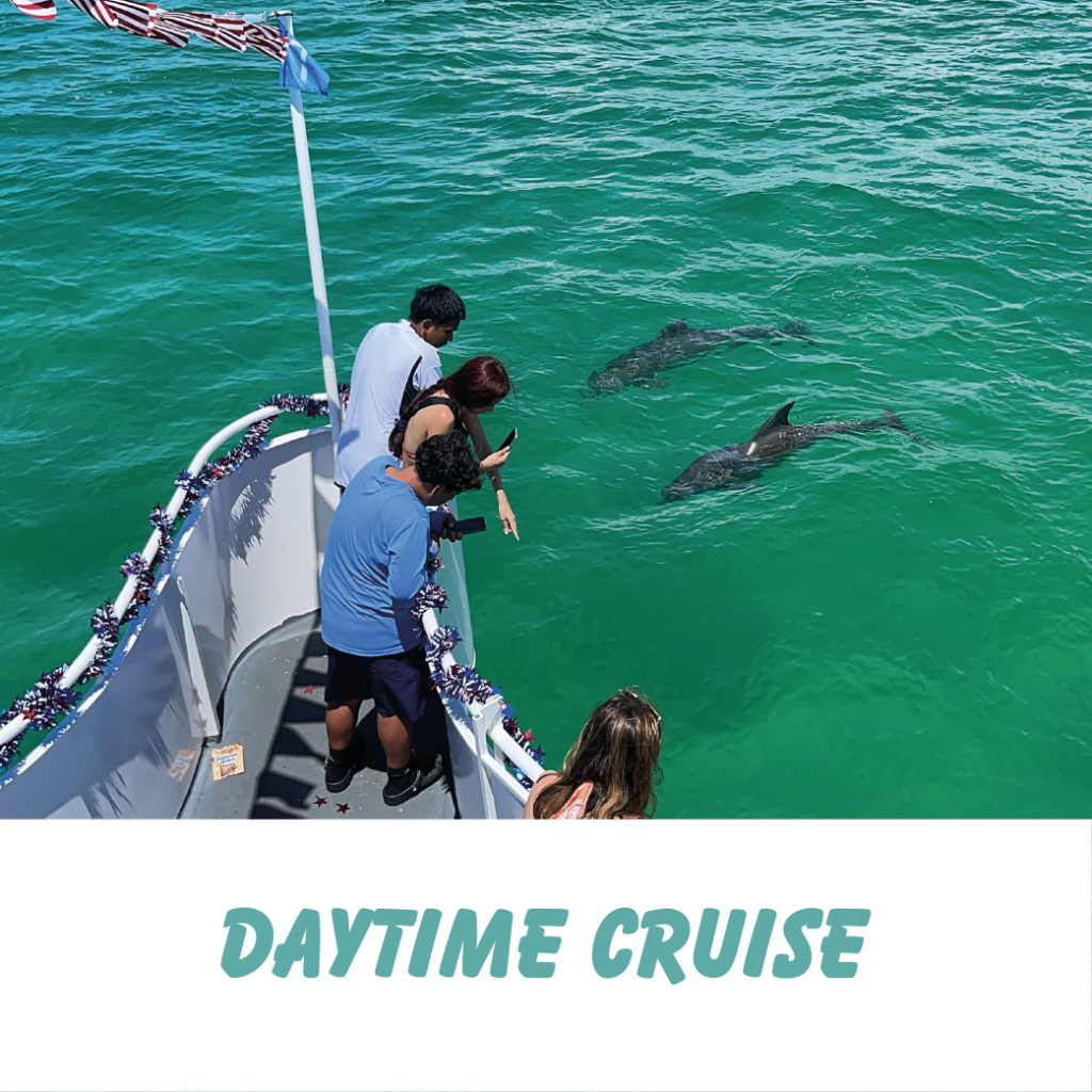 Daytime Cruise
