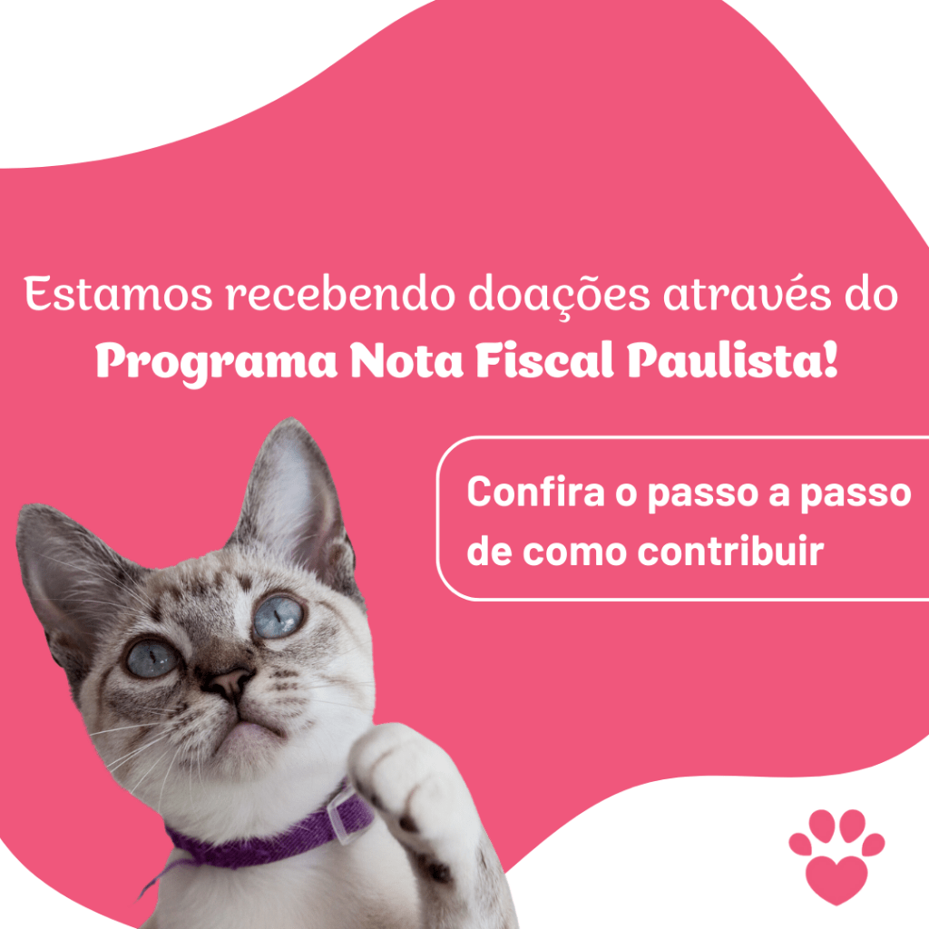 V&iacute;deo: Passo a Passo NFP