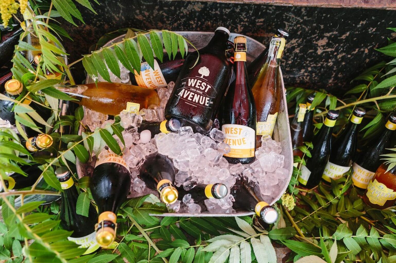 Beer-lover's road trip