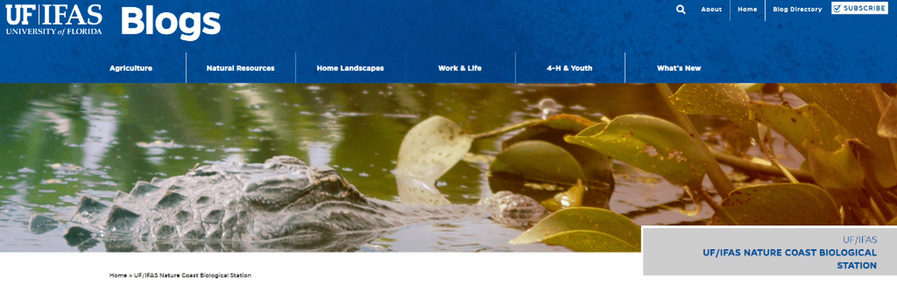 Our Blog