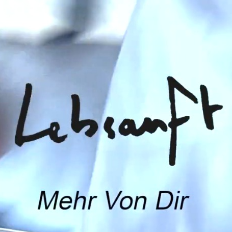 Mehr Von Dir (Video)