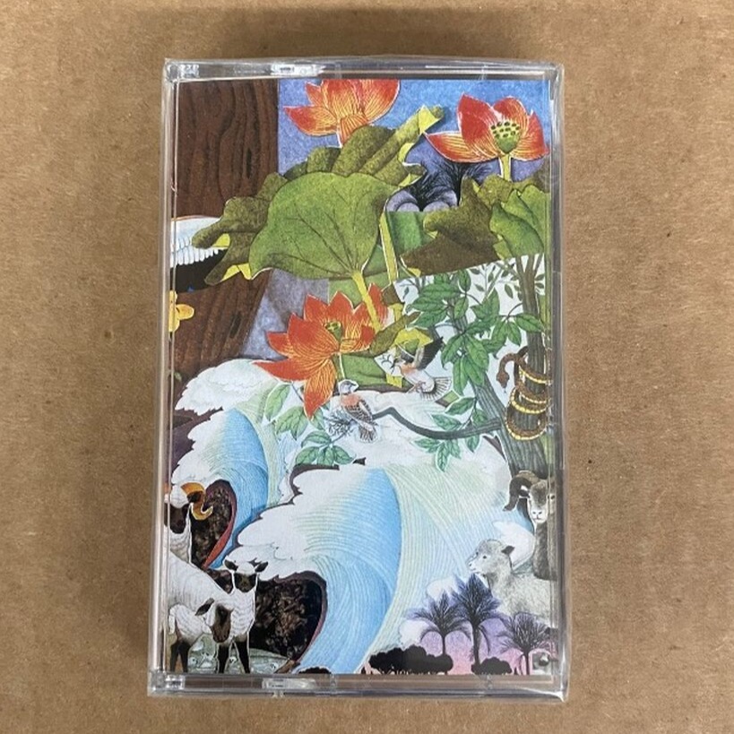 WILD LIFE | CASSETTE | DISCHORD DIRECT