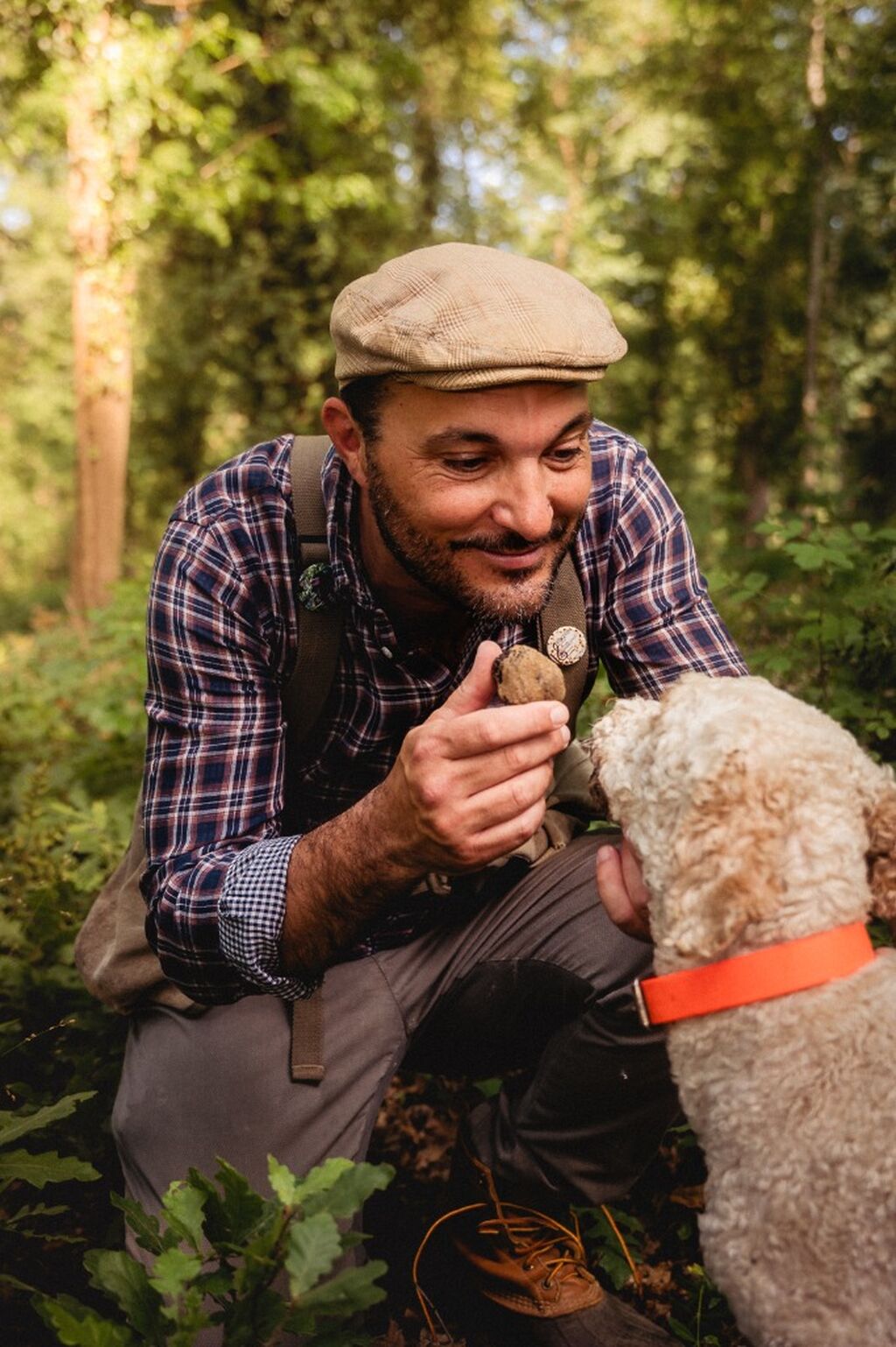 🐕 Esperienze / Truffle Hunting Experiences & More