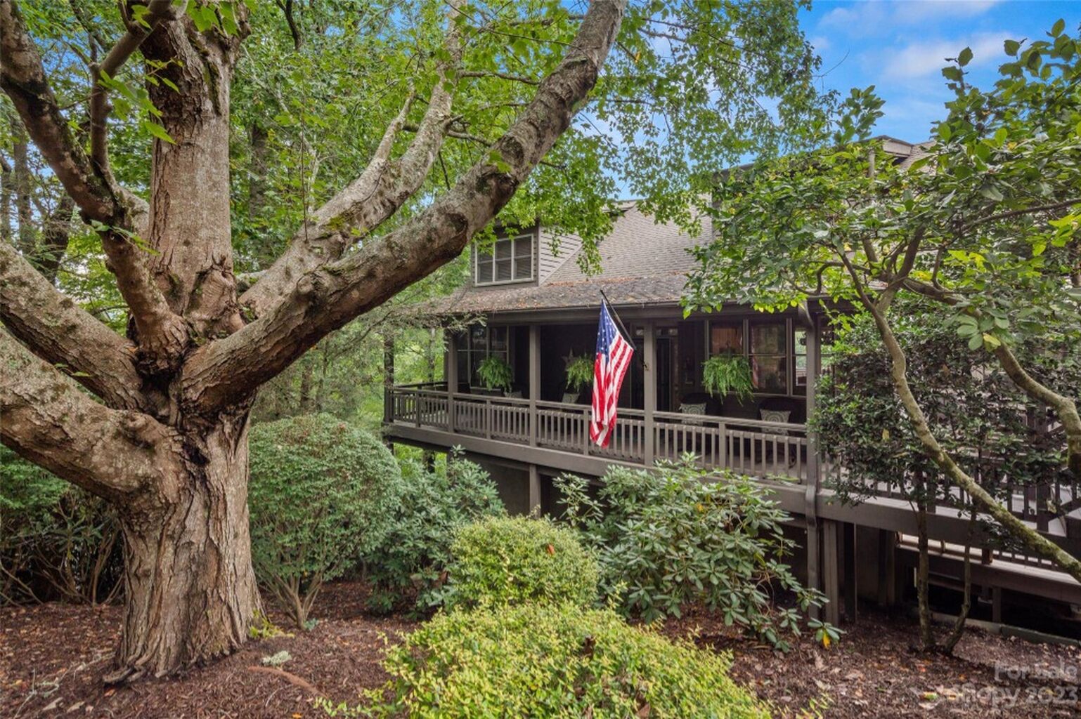 12 Wild Ivy Run