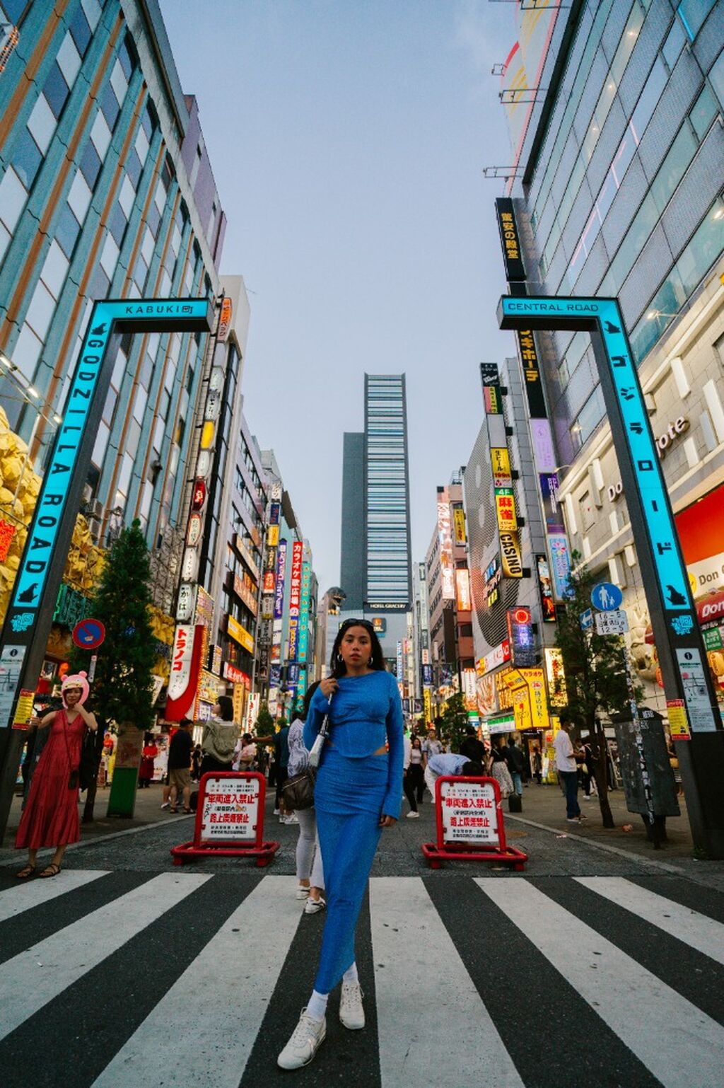 Tokyo Airport Transfers