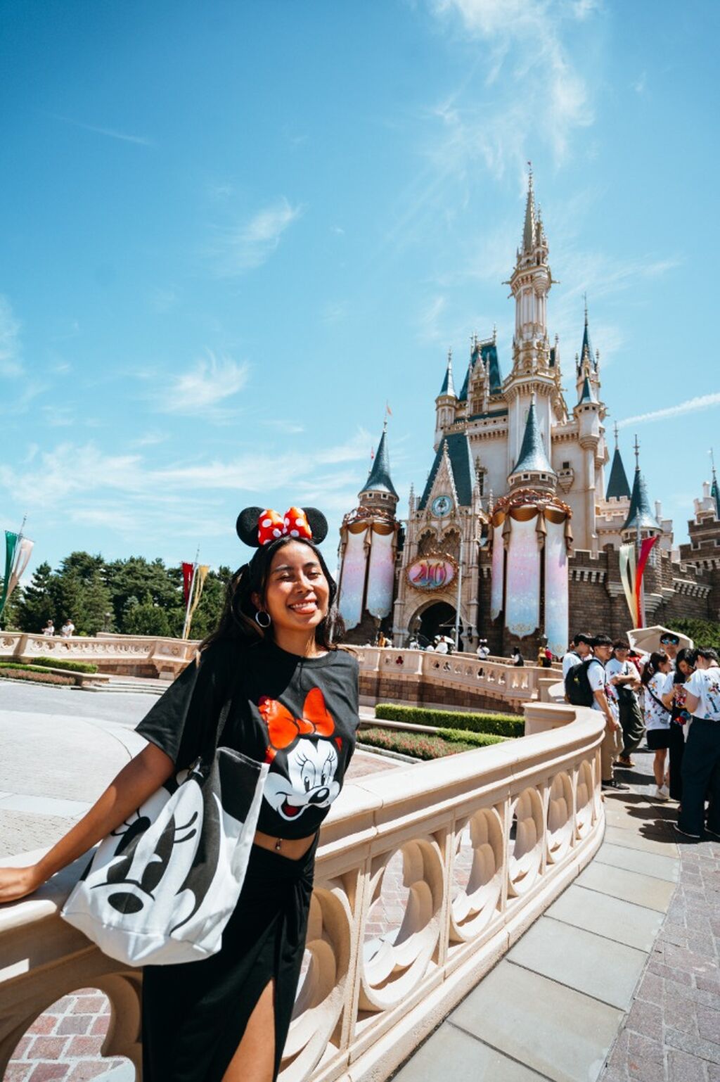 Tokyo Disneyland (Discounted!)