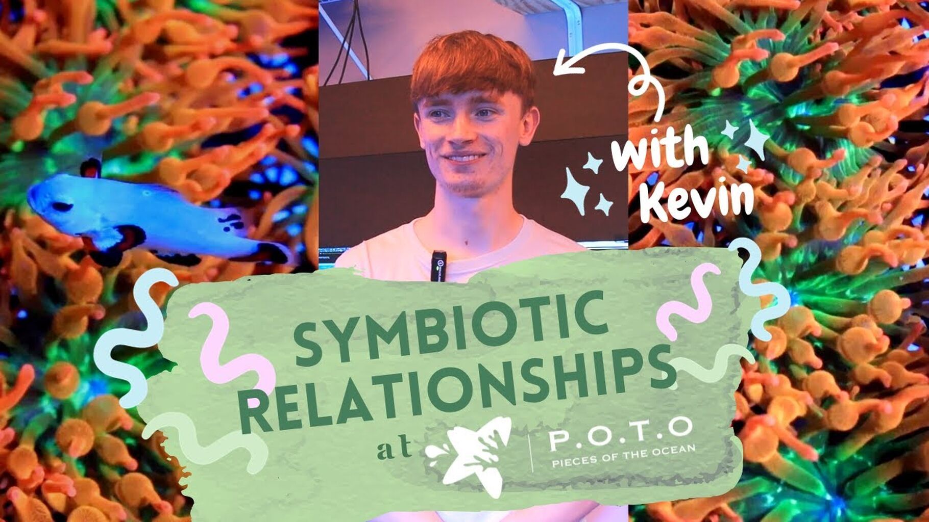 Symbiotic Relationships at POTO (Pieces of the Ocean)