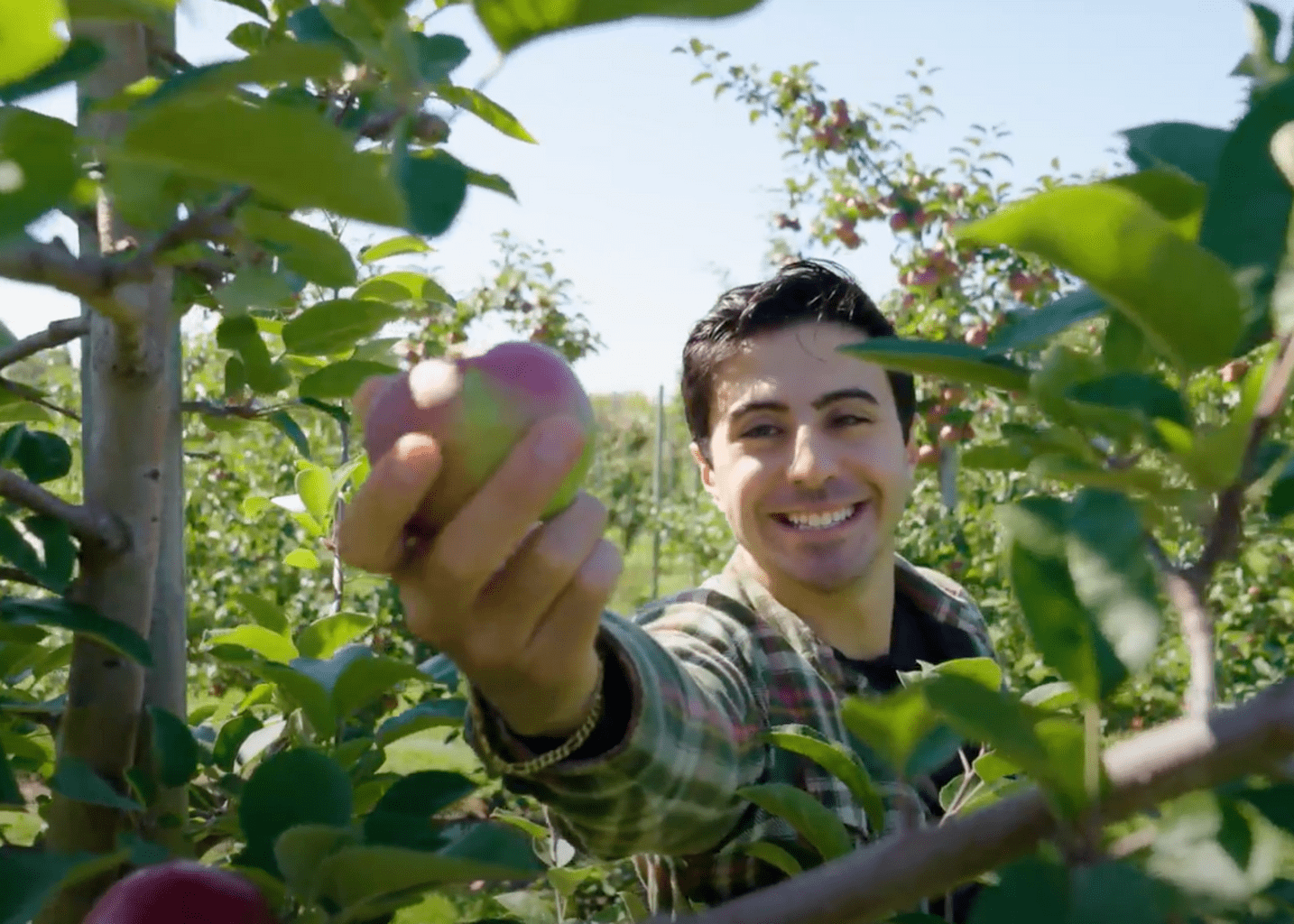 Best Apple Picking Spots in Ontario
