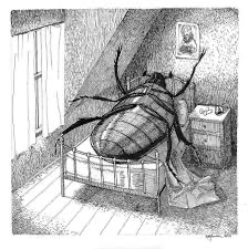 The metamorphosis - free PDF 
