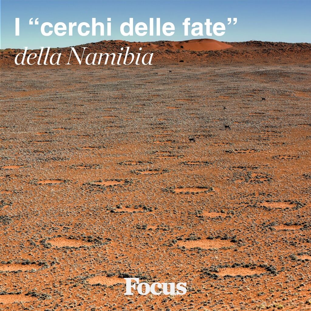  I cerchi delle fate sono pi&ugrave; diffusi di quanto si pensi