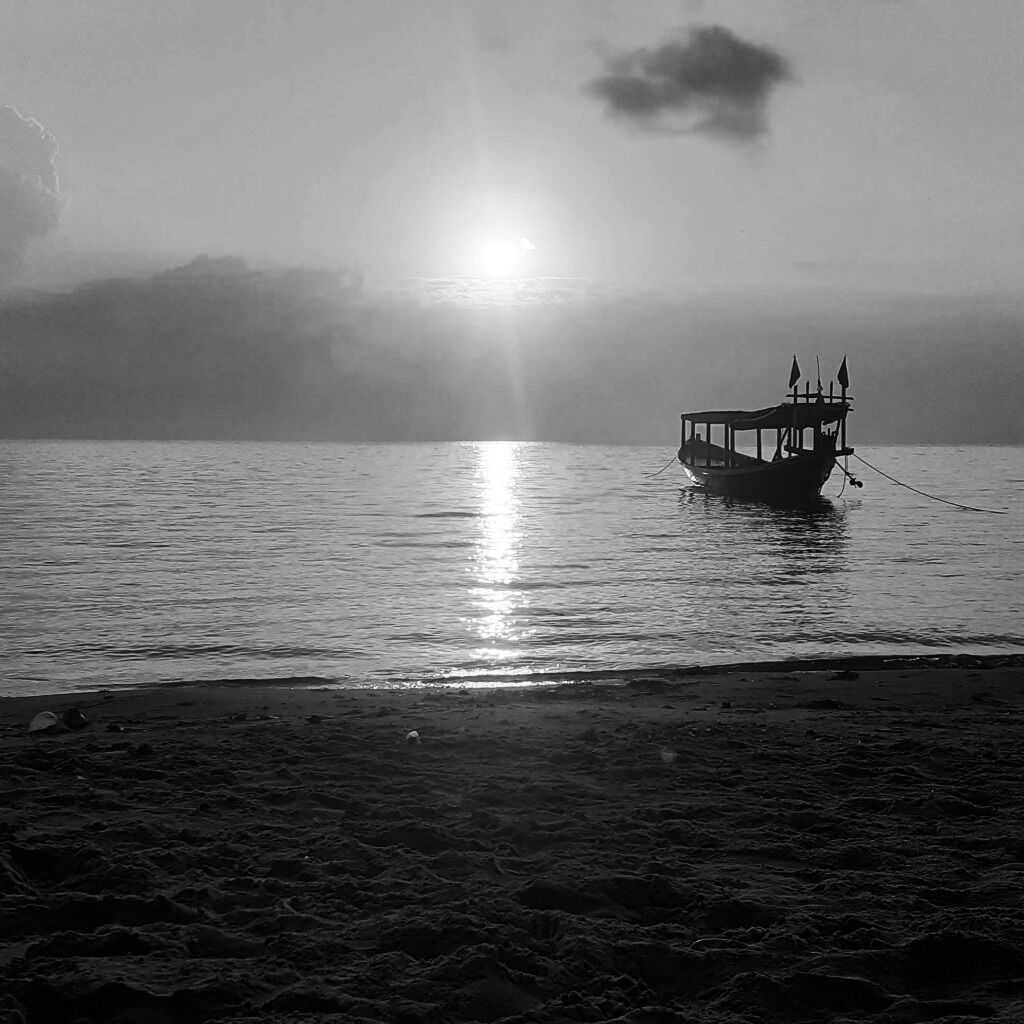 Majed Salih