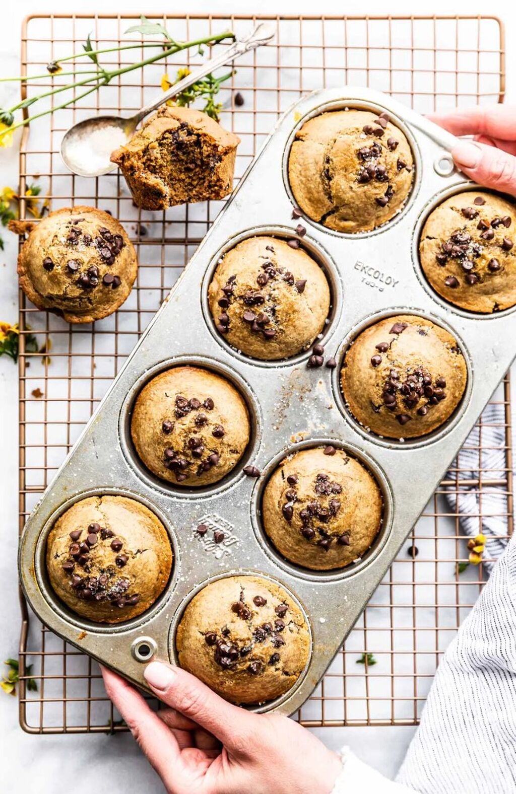 Flourless Chocolate Chip Protein Muffins