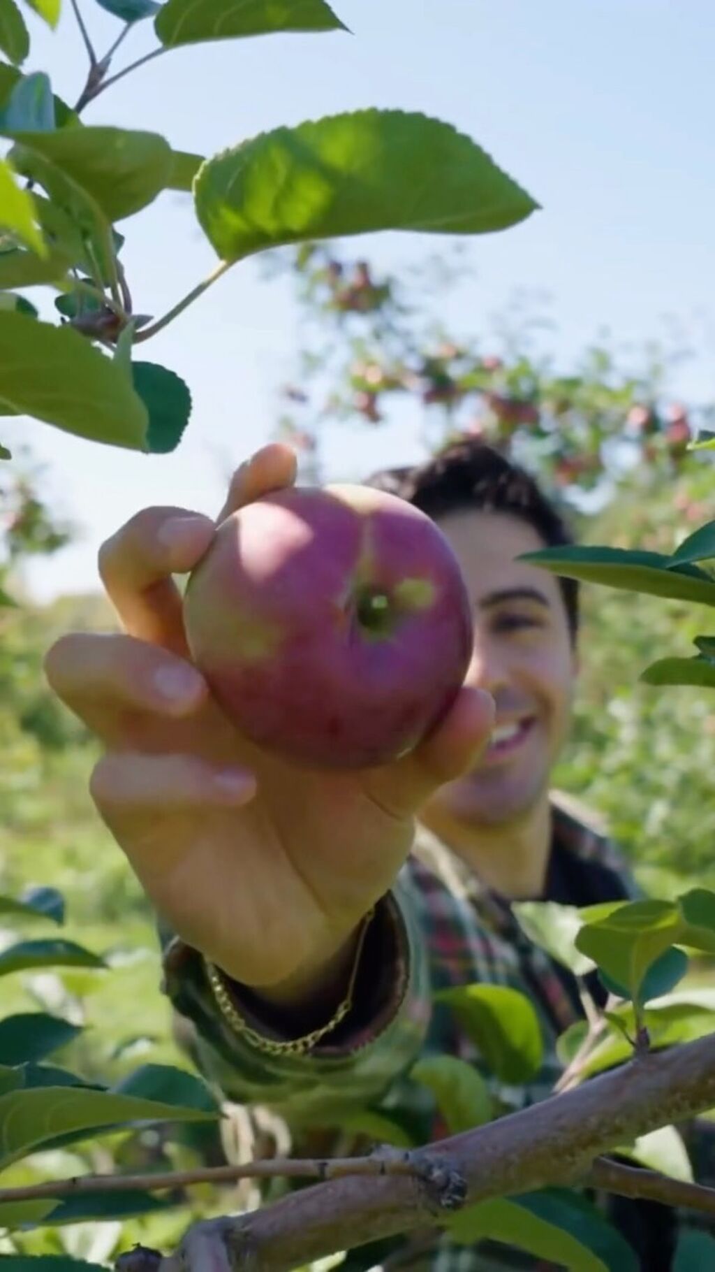 -best-apple-picking-spots/
