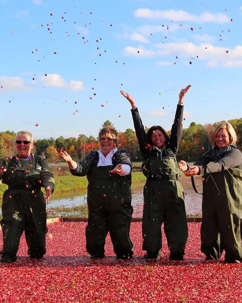 muskoka-cranberry-route