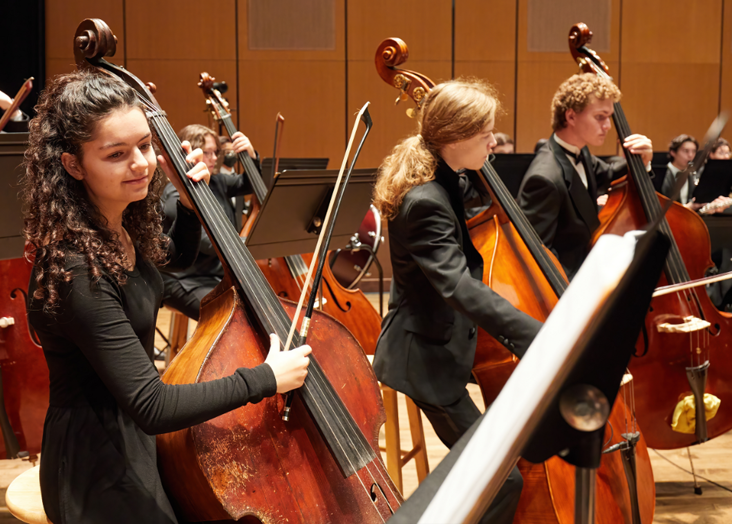 Free Double Bass CLass