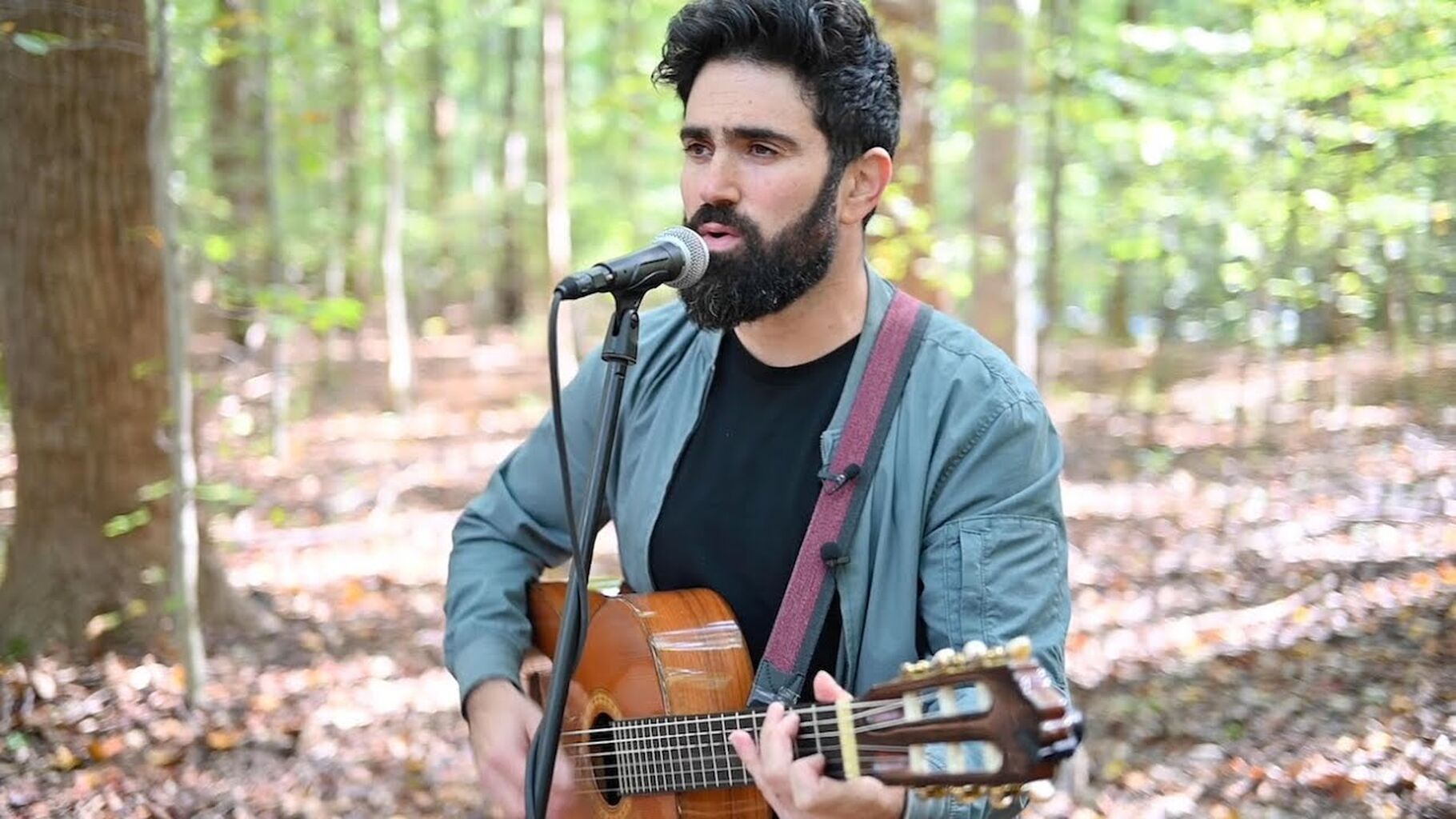 Aaron Shneyer - Fig Tree / Lo Yisa Goy