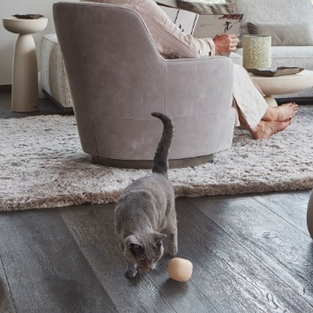 Inspiration for Your Home