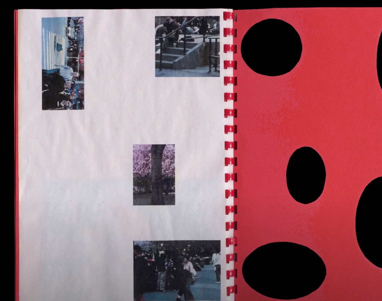 GRAPHIC DESIGN program