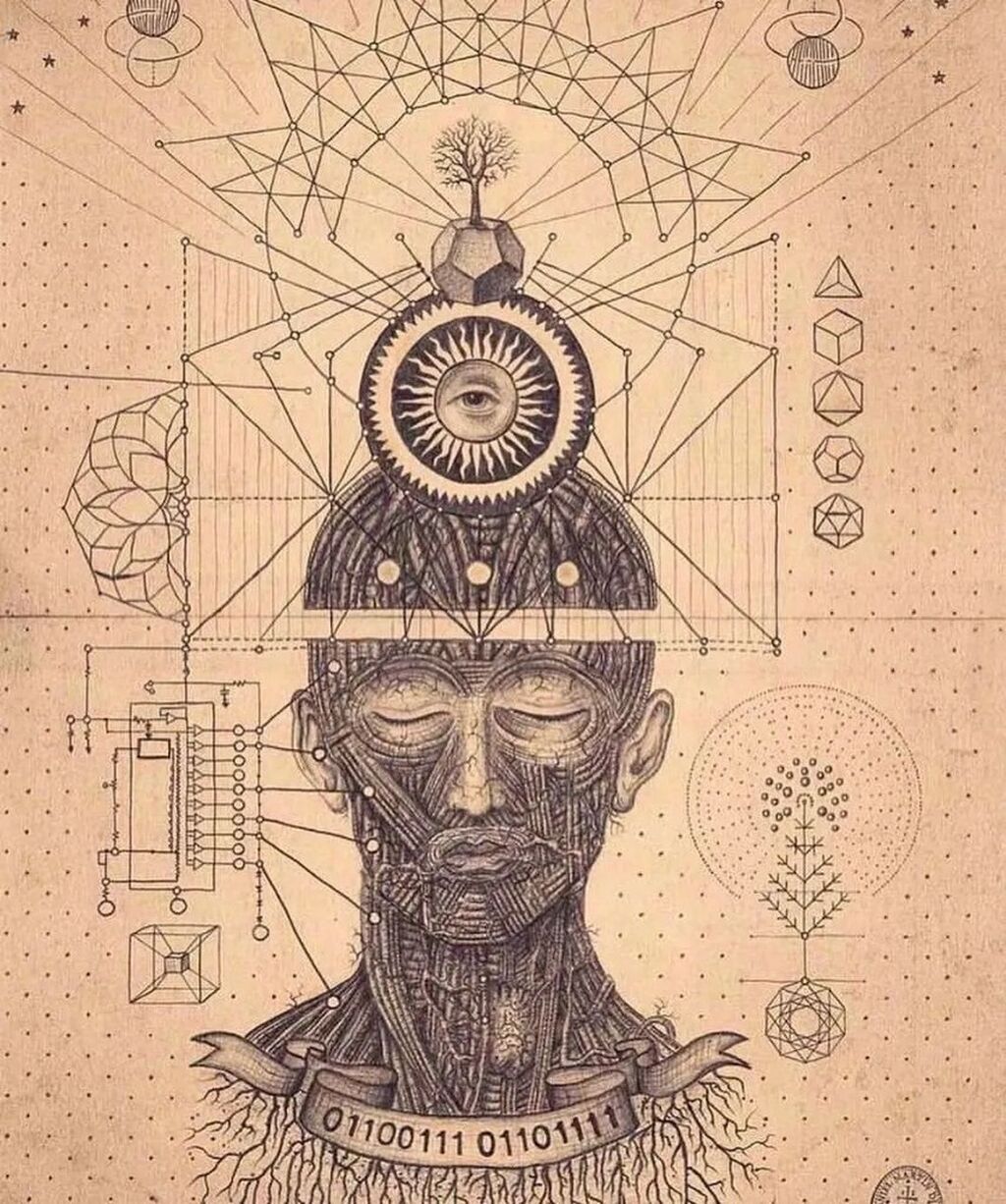 The Wisdom bundle 