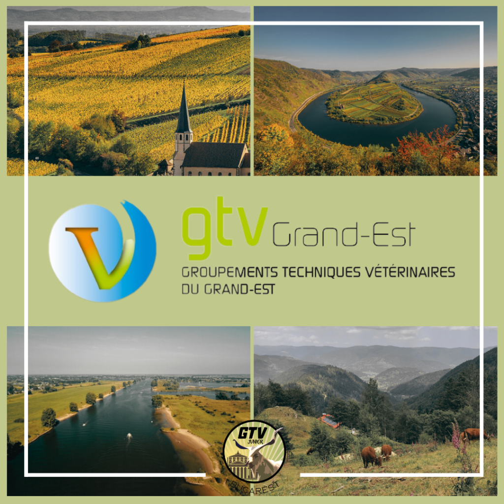 GTV GRAND EST