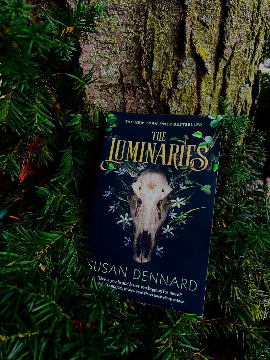 The Luminaries - now IN PAPERBACK