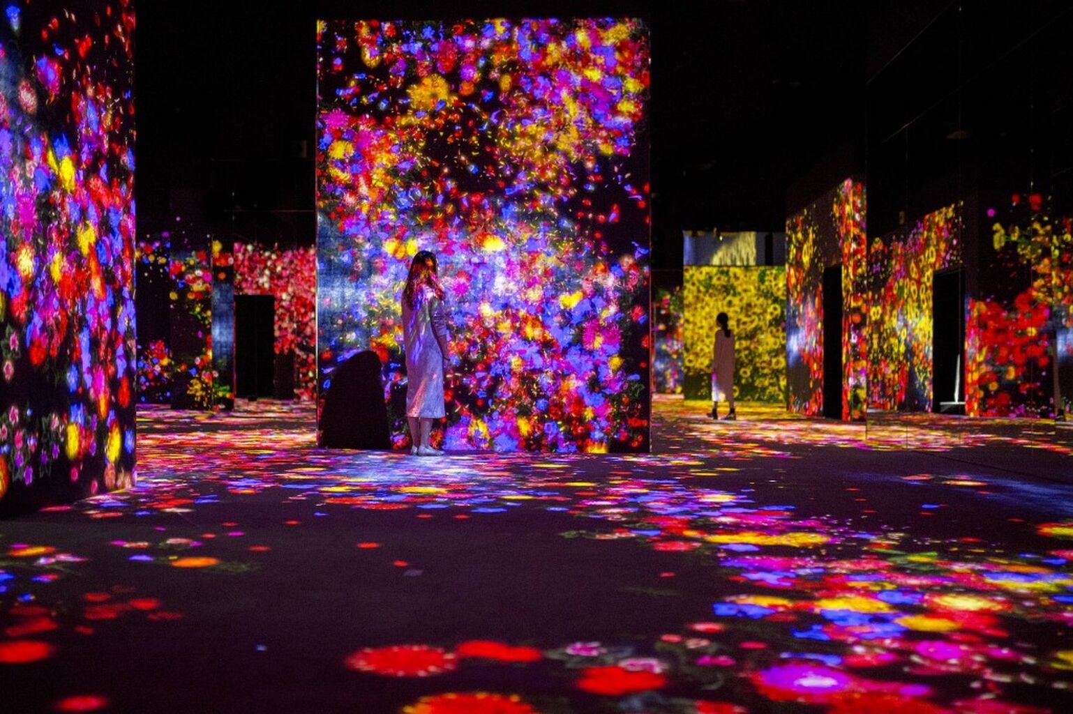 teamLab Osaka Discounted Ticket
