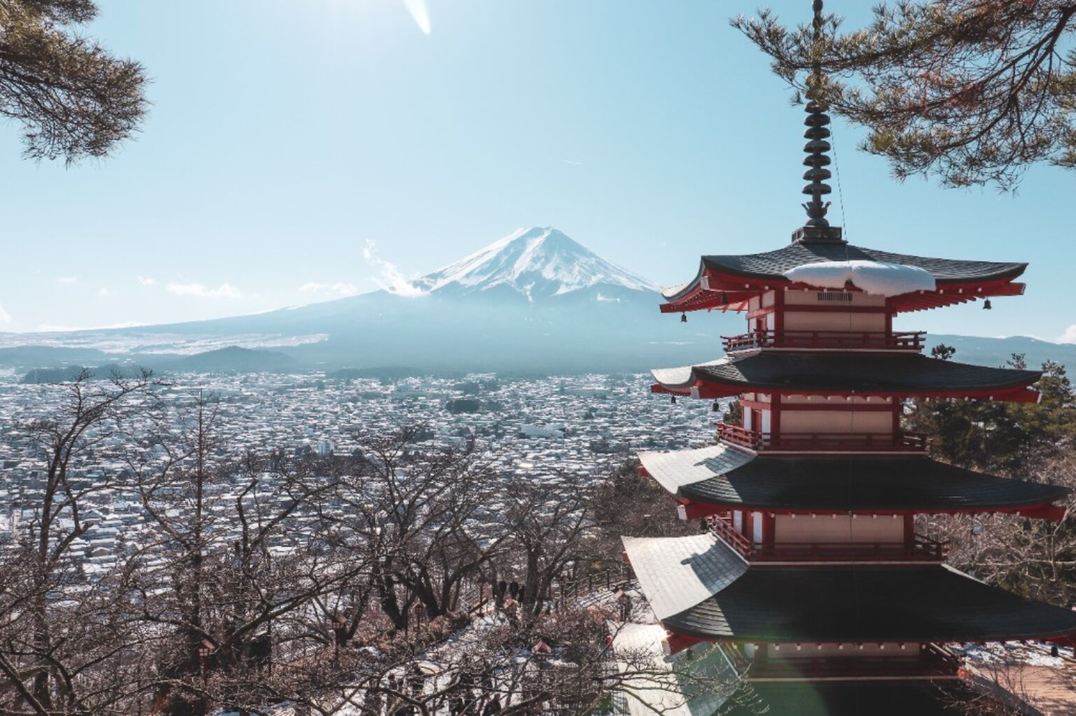 Mt. Fuji Day Tour