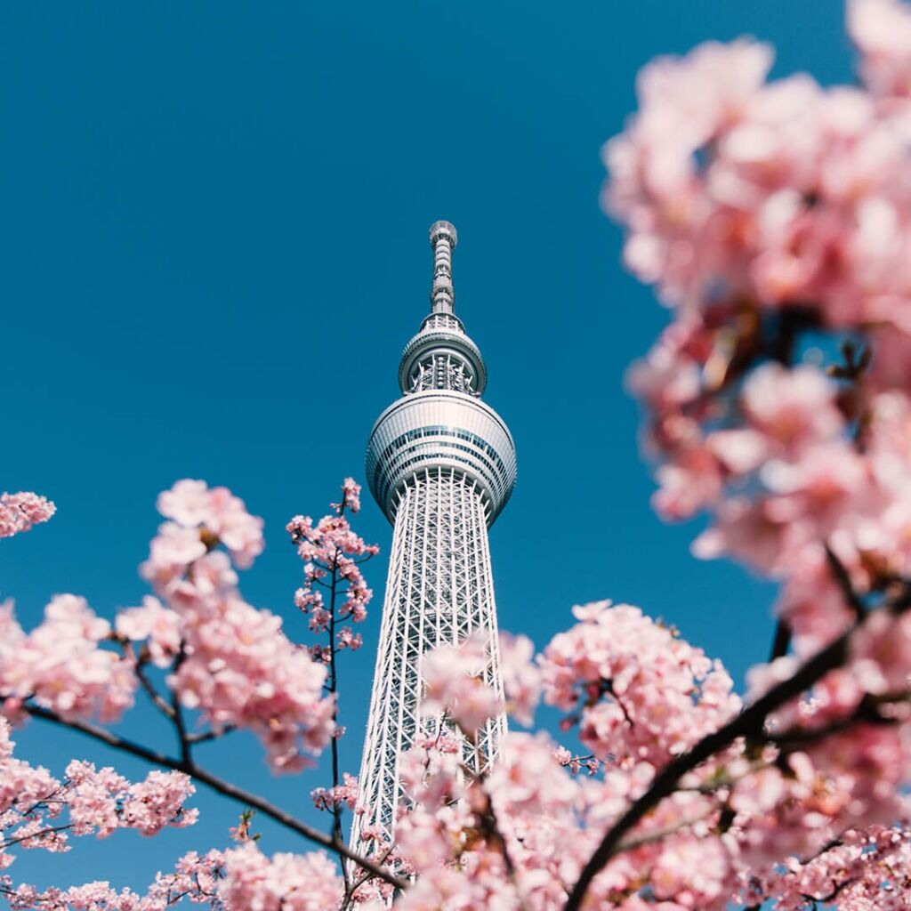 Japan Voyages