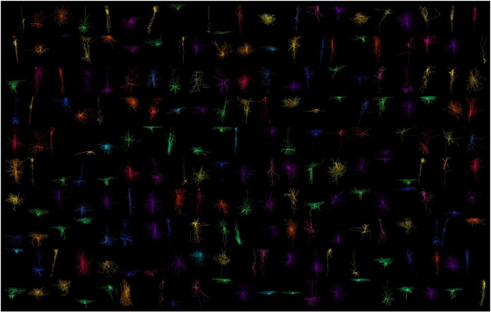 BRAIN CELL CENSUS - Research Papers