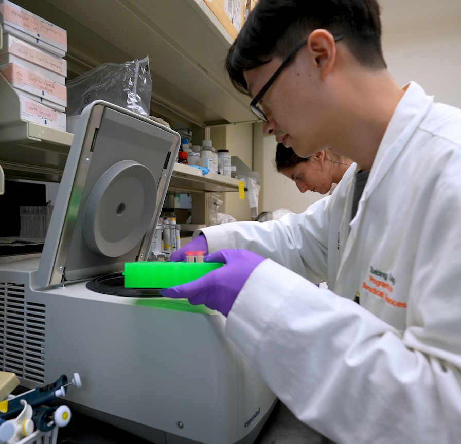 Reinvigorating T Cells to Fight Disease