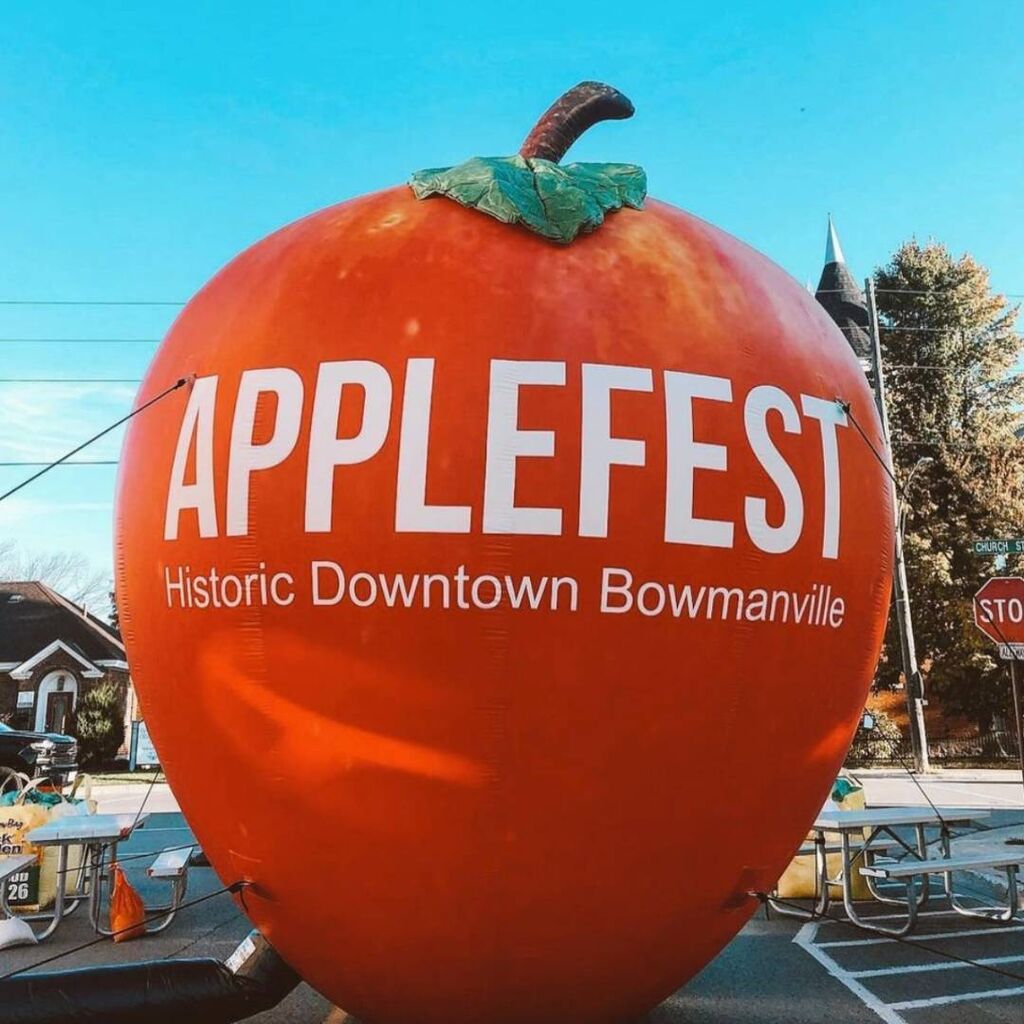 Festivls and events 