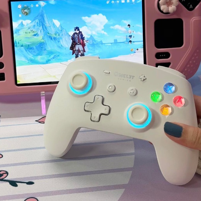 Omelet Wireless Controller