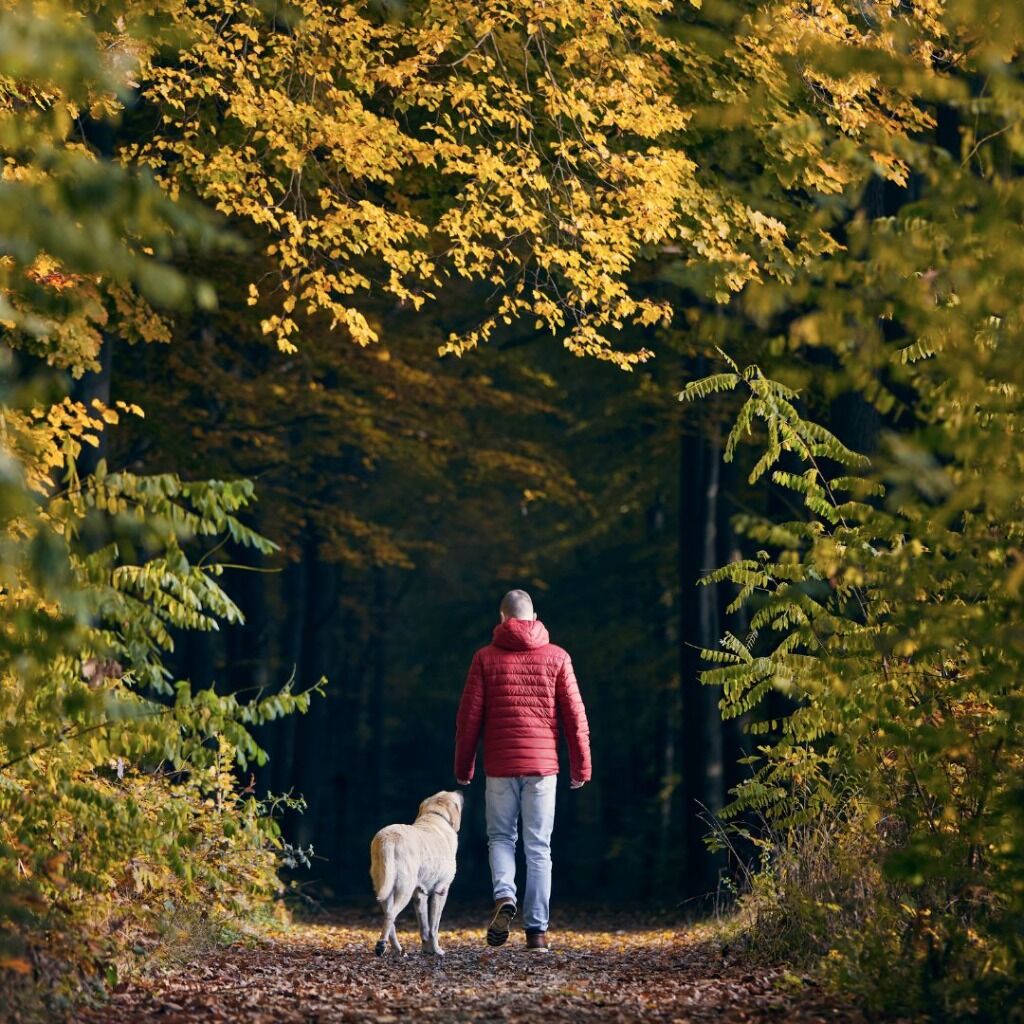 Dog Parks