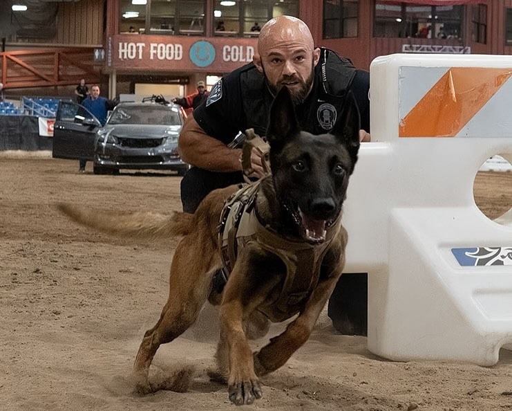 Desert Dog K9 Trials