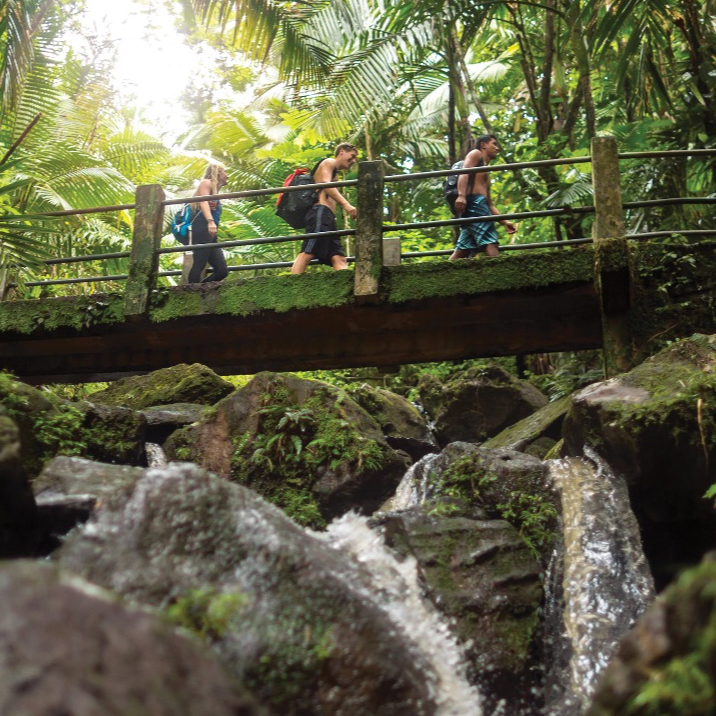 Guide to 6 Memorable Caribbean Attractions