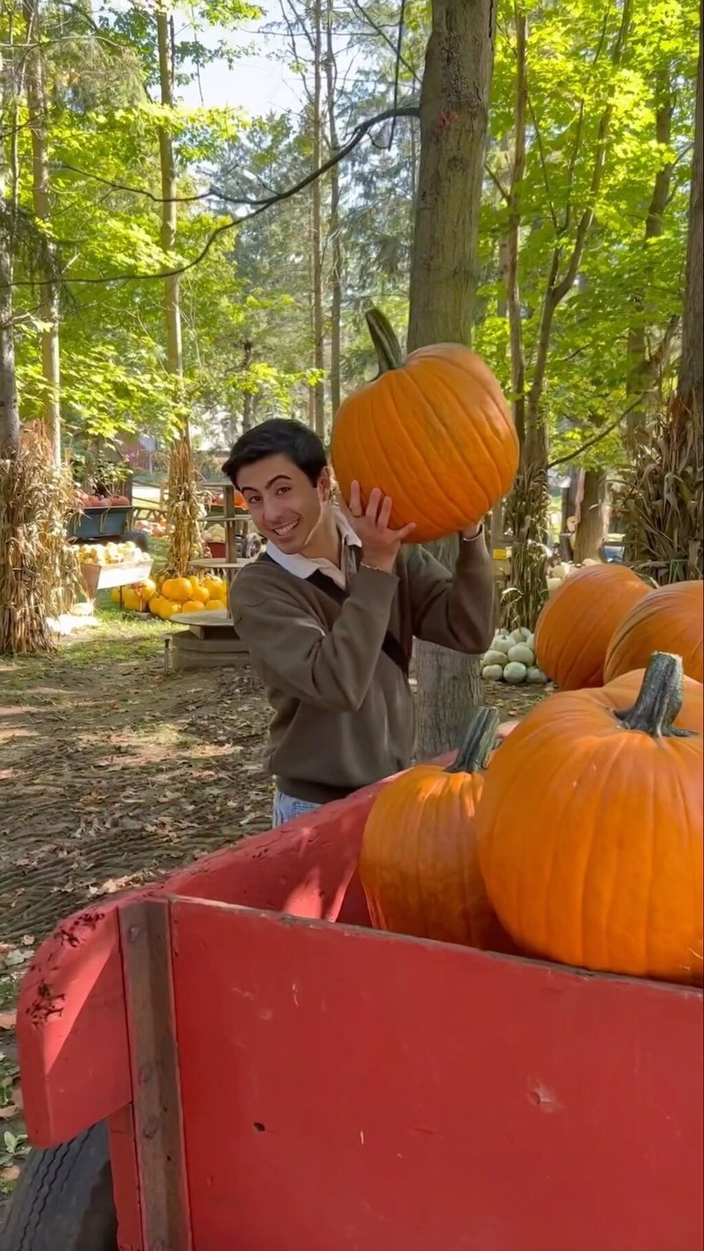 fun-in-waterloo-region-this-fall
