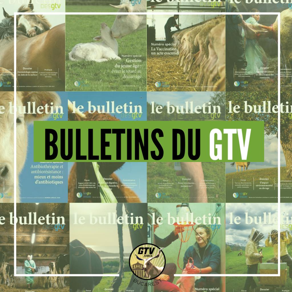 Bulletins GTV 