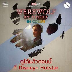 Werewolf by Night in Color - Disney+ Hotstar