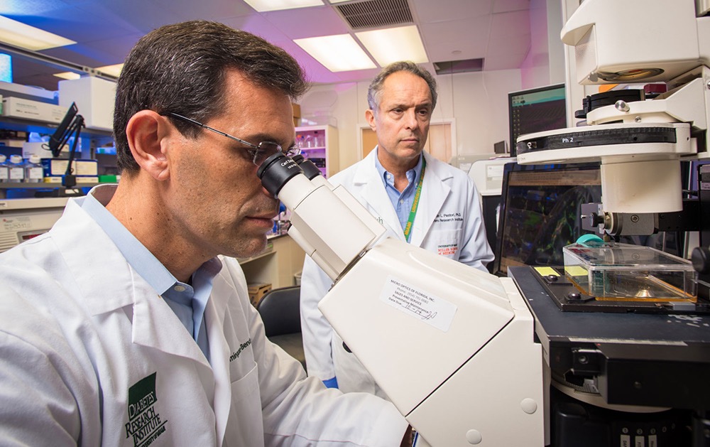 Growth Factor Activates Stem Cells and Regenerates Insulin-producing Cells
