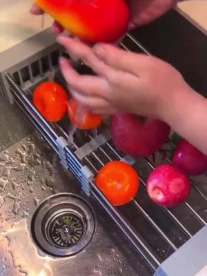 EXPANDABLE SINK STRAINER 