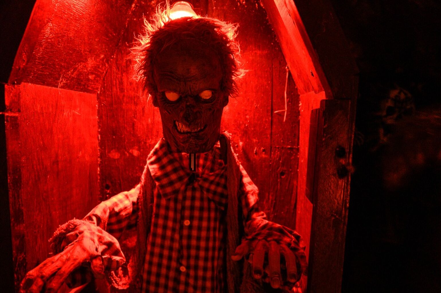 La magie de l&rsquo;Halloween brille sur la neige